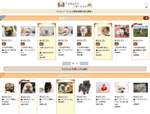 Tablet Screenshot of pomeranian.petstation.jp
