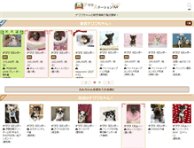 Tablet Screenshot of chihuahua.petstation.jp